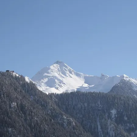 Daire Gredler Martina